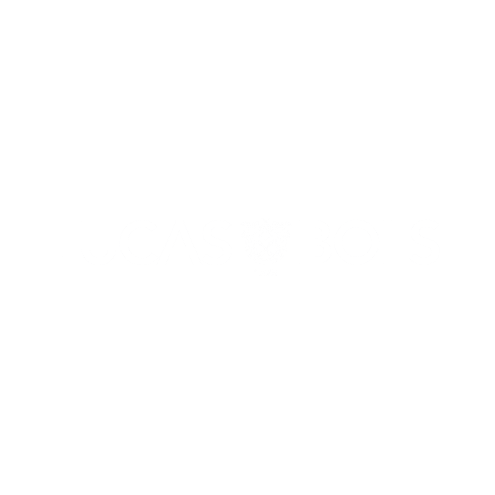 lucas bols website ontwikkeling