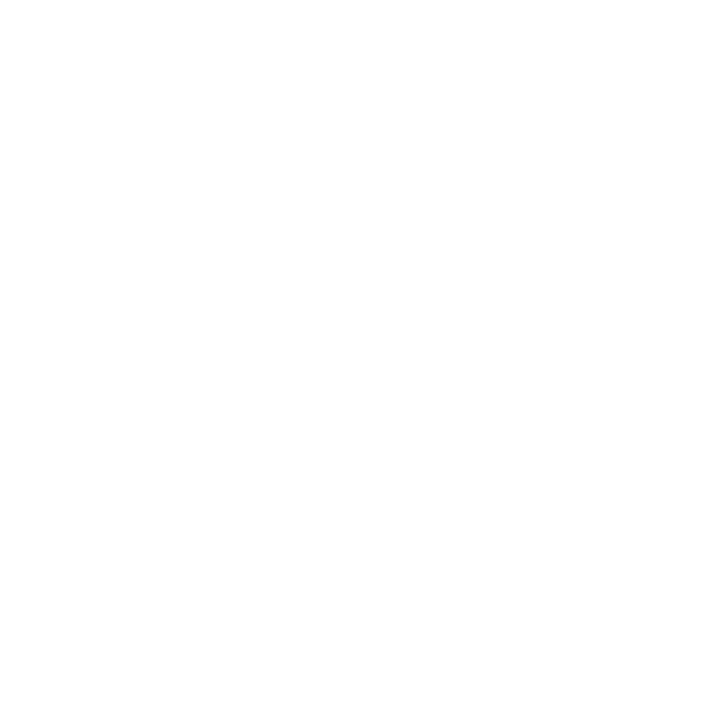 magioni website ontwikkelaar